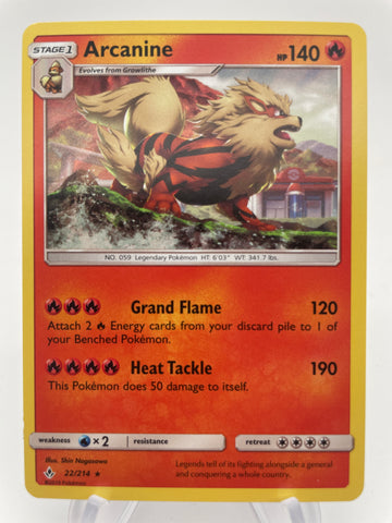 Arcanine 22/214 Holo